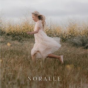 Delicate and Timeless Blue/Gray Swiss Dot Dresses/ Sisters!